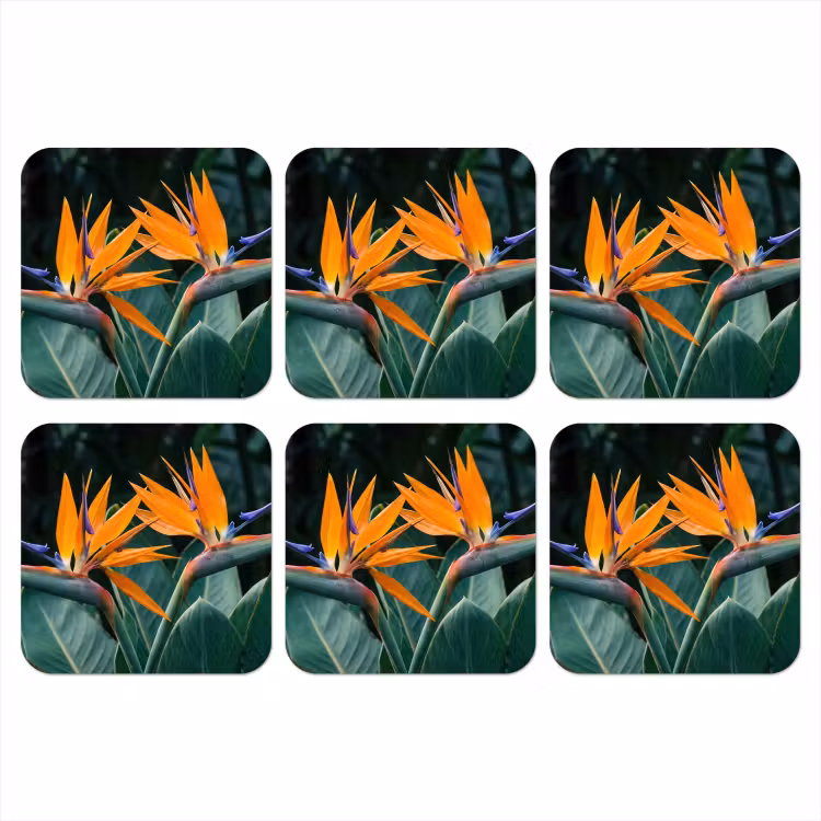 Paradijsvogel - Bloem - Exotisch onderzetter kurk middel -3d