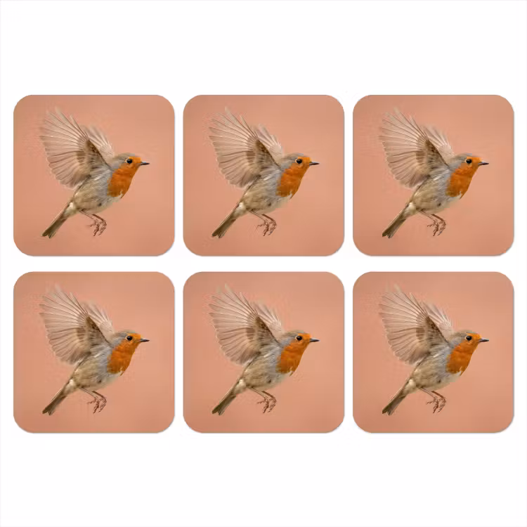 Roodborst - Natuur - Roze onderzetter kurk middel -3d