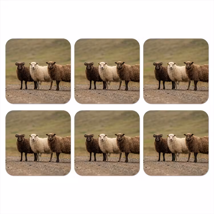 Schapen - Bruin - Wit - Grindpad onderzetter kurk middel -3d