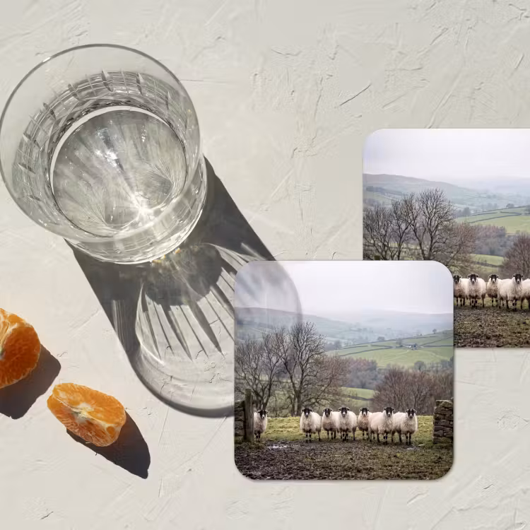 Schapen - Rij - Weide - Dieren - Platteland onderzetter kurk middel -sfeer4