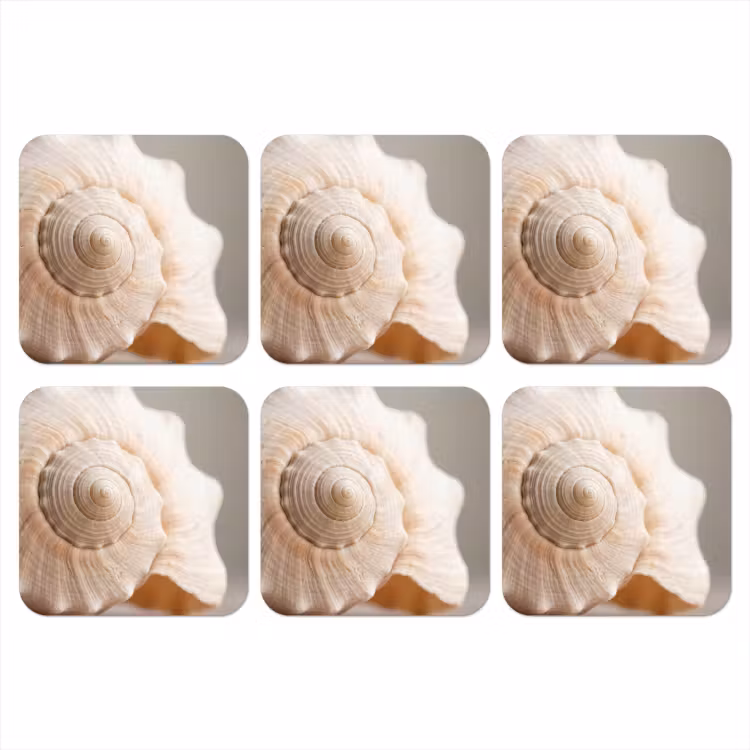 Schelp - Detail - Beige onderzetter kurk middel -3d