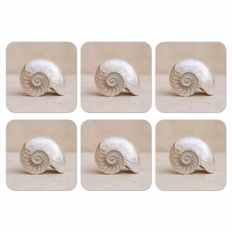 Schelp - Spiraal - Beige onderzetter kurk middel -3d