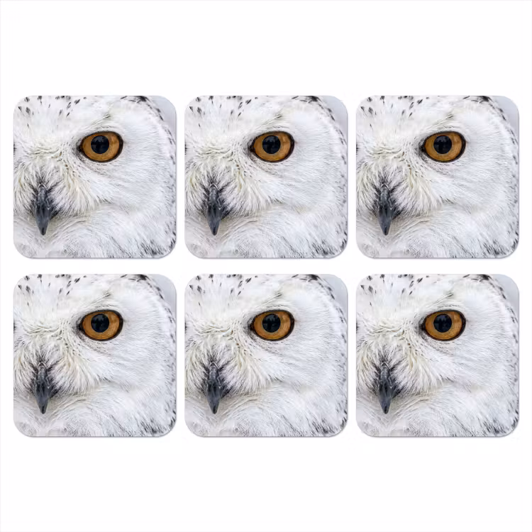 Sneeuwuil - Oog - Wildlife - Wit onderzetter kurk middel -3d