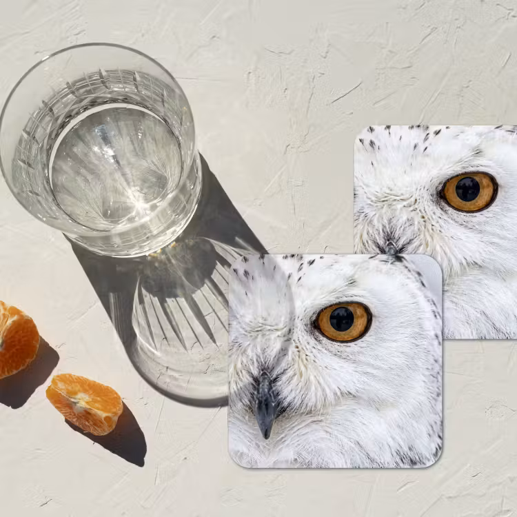 Sneeuwuil - Oog - Wildlife - Wit onderzetter kurk middel -sfeer4