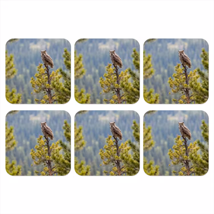 Uil - Oehoe - Bomen - Natuur onderzetter kurk middel -3d