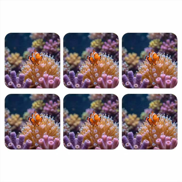 Vis - Koraal - Onderwater - Oranje - Dieren onderzetter kurk middel -3d
