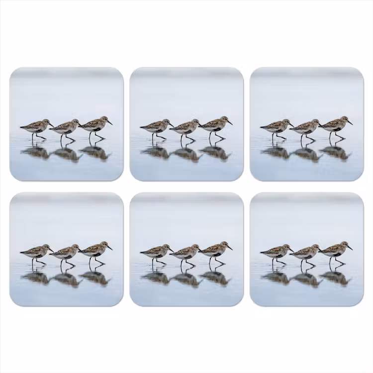 Vogels - Water - Grijs onderzetter kurk middel -3d