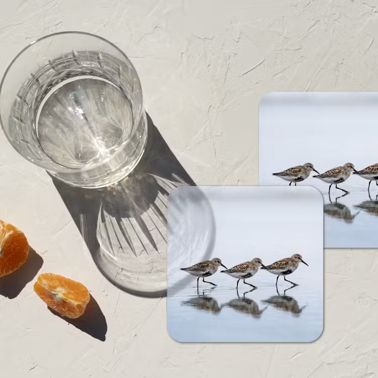 Vogels - Water - Grijs onderzetter kurk middel -sfeer4
