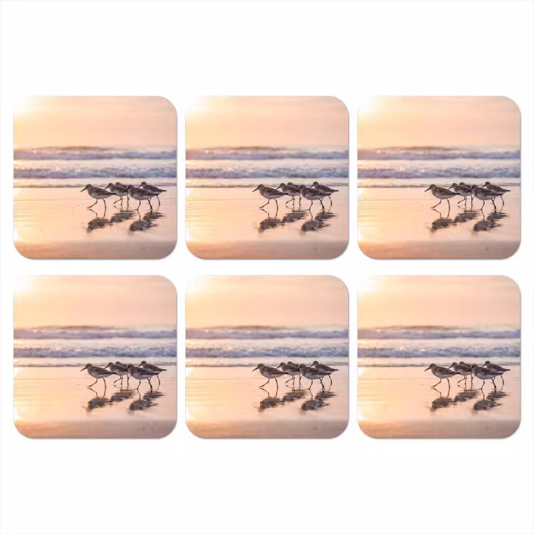 Zee - Vogels - Strand onderzetter kurk middel -3d