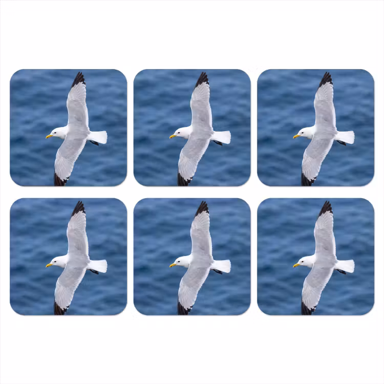 Zeemeeuw - Oceaan - Blauw onderzetter kurk middel -3d