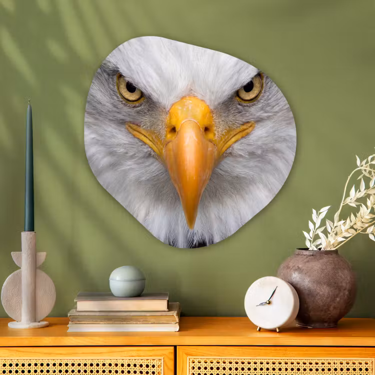 Amerikaans - Zeearend - Portret - Geel Wandcirkel Organisch Aluminium middel -sfeer2
