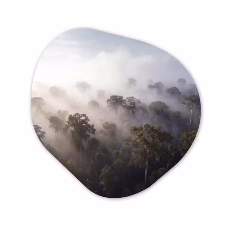 Bos - Mist - Natuur - Groen Wandcirkel Organisch Aluminium middel -3d