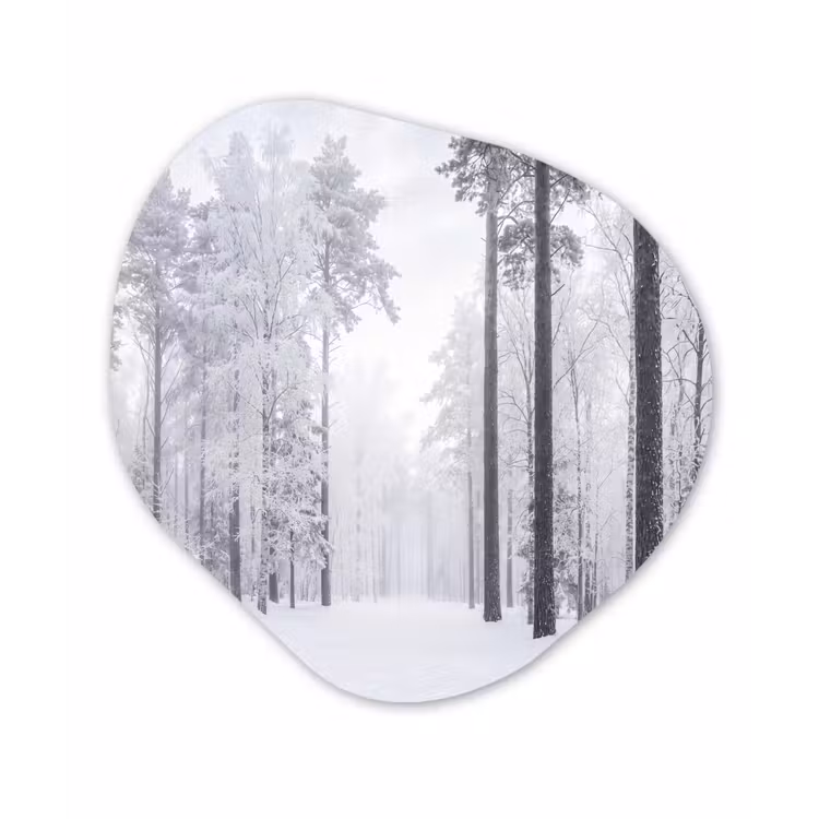 Bos - Sneeuw - Pad - Winter - Stilte Wandcirkel Organisch Aluminium middel -3d