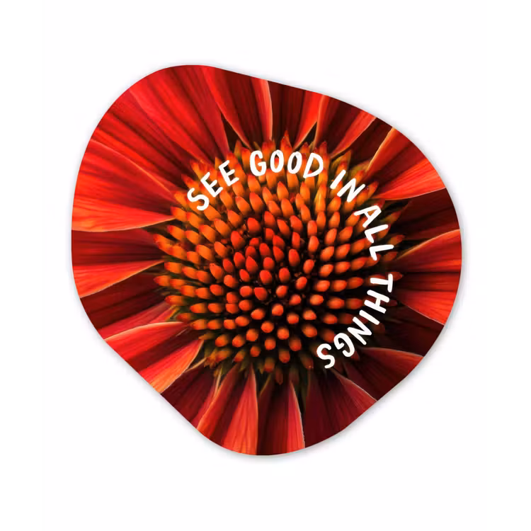 Close up - Bloem - Quote - Rood Wandcirkel Organisch Aluminium middel -3d