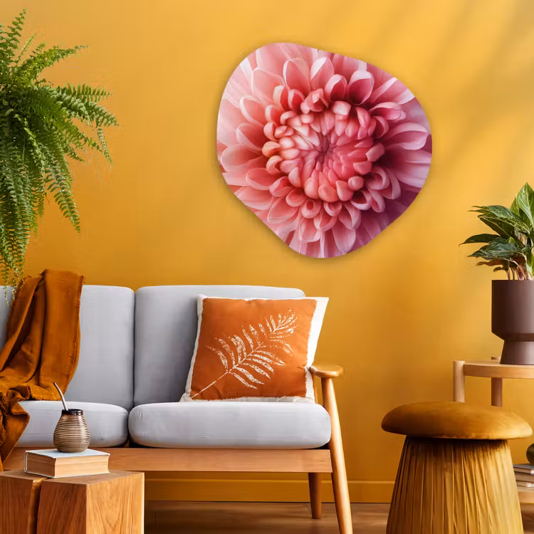 Dahlia - Bloem - Close up - Roze Wandcirkel Organisch Aluminium middel -sfeer4