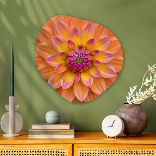 Dahlia - Bloem - Oranje Wandcirkel Organisch Aluminium middel -sfeer2