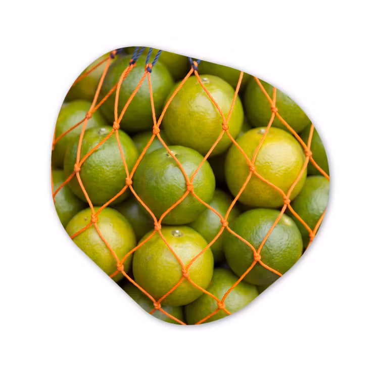 Eten - Net - Groen - Markt Wandcirkel Organisch Aluminium middel -3d