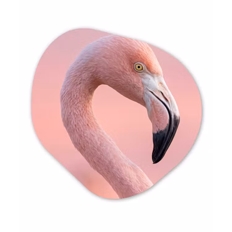 Flamingo - Portret - Roze Wandcirkel Organisch Aluminium middel -3d