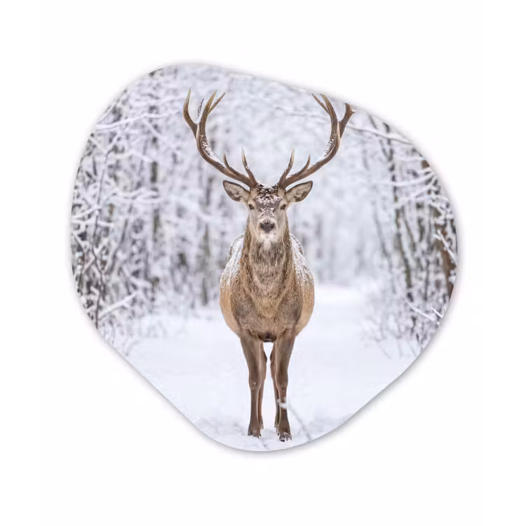 Hert - Winter - Bos - Natuur - Wit Wandcirkel Organisch Aluminium middel -3d