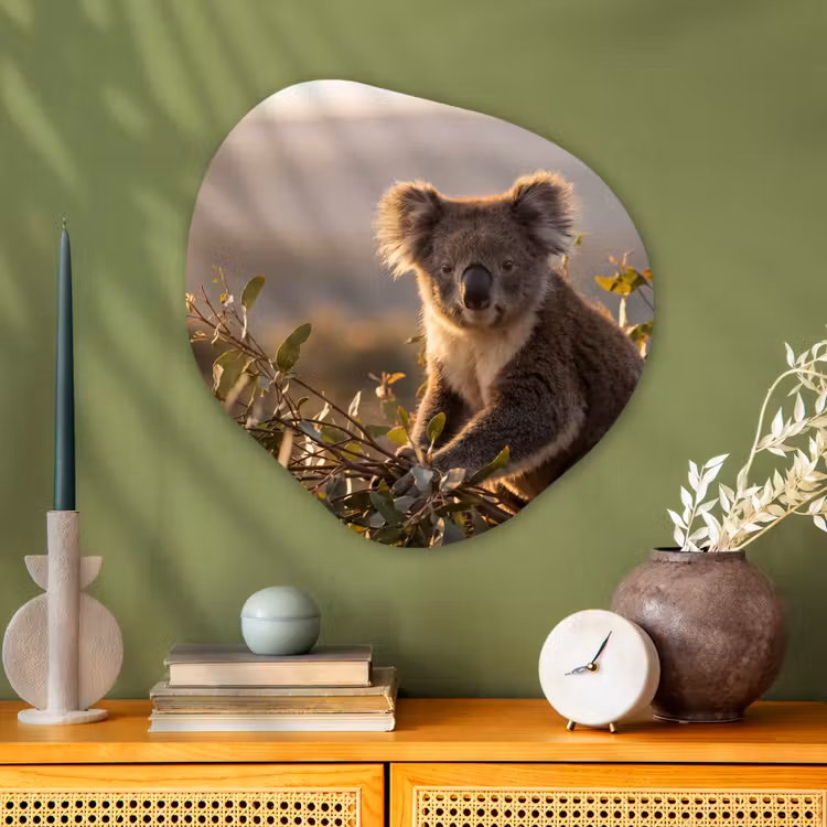Koala - Bladeren - Ochtendlicht Wandcirkel Organisch Aluminium middel -sfeer2