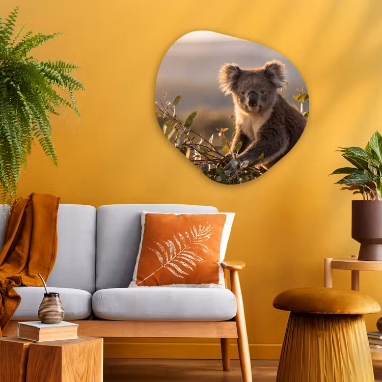 Koala - Bladeren - Ochtendlicht Wandcirkel Organisch Aluminium middel -sfeer4