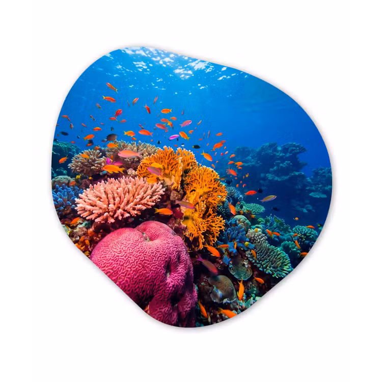 Koraal - Vissen - Oceaan - Natuur - Kleurrijk Wandcirkel Organisch Aluminium middel -3d