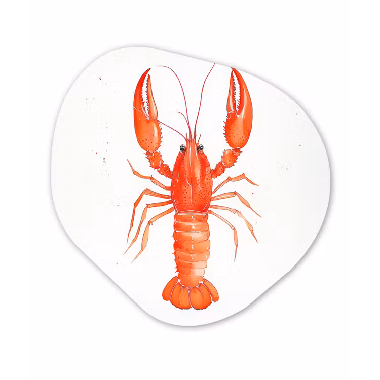 Kreeft - Waterverf - Aquarel - Oranje Wandcirkel Organisch Aluminium middel -3d