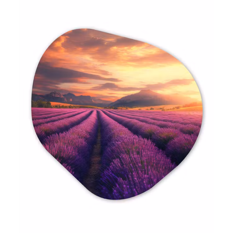 Lavendelveld - Zonsondergang - Paars Wandcirkel Organisch Aluminium middel -3d