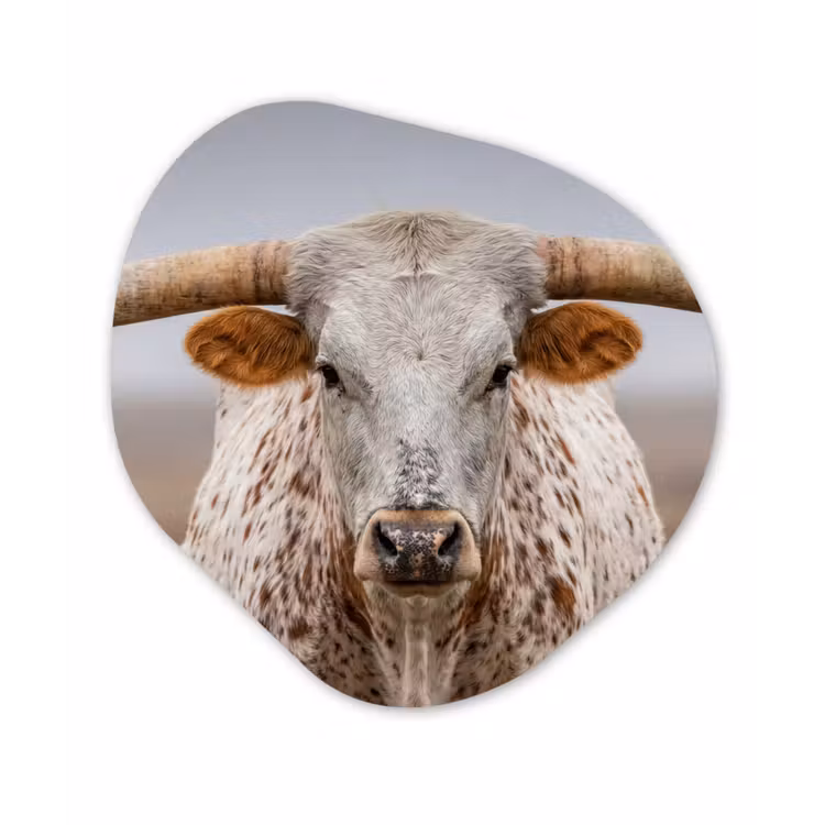 Longhorn - Grasveld - Dier Wandcirkel Organisch Aluminium middel -3d