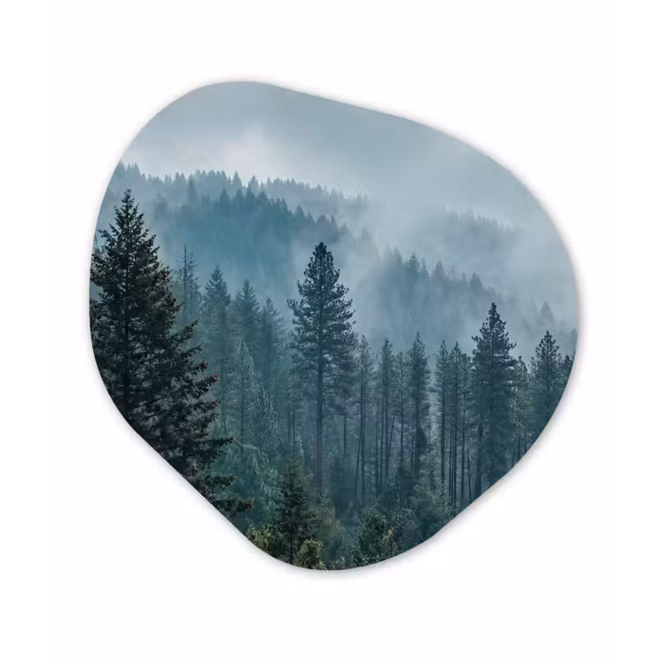 Naaldwoud - Bergen - Mist Wandcirkel Organisch Aluminium middel -3d