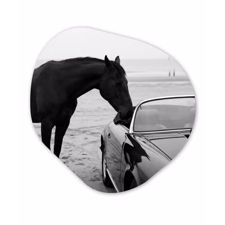 Paard - Auto - Zwart - Wit Wandcirkel Organisch Aluminium middel -3d