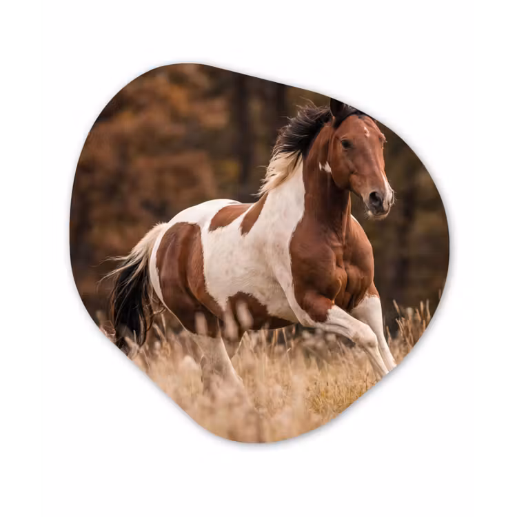 Paard - Bruin - Gras Wandcirkel Organisch Aluminium middel -3d
