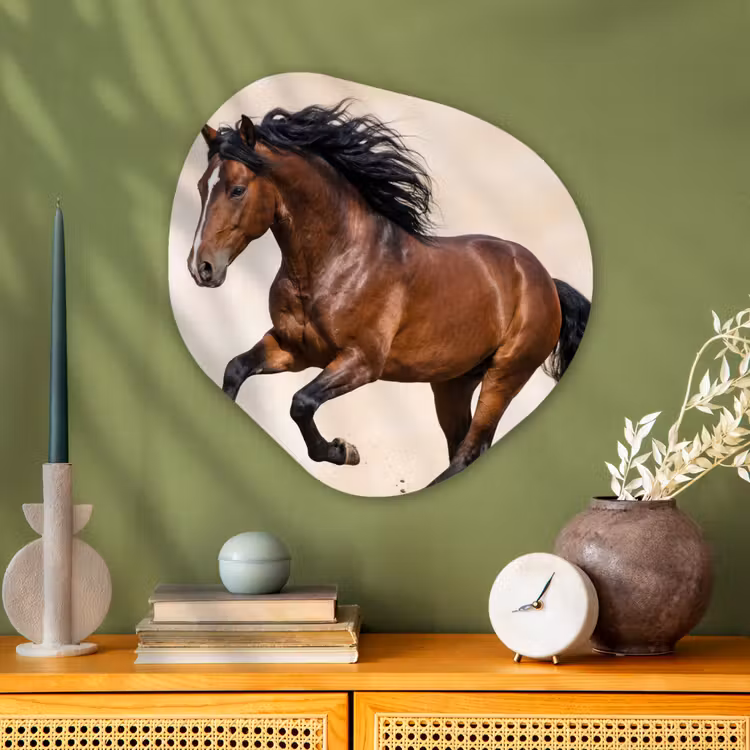 Paard - Galop - Energie Wandcirkel Organisch Aluminium middel -sfeer2