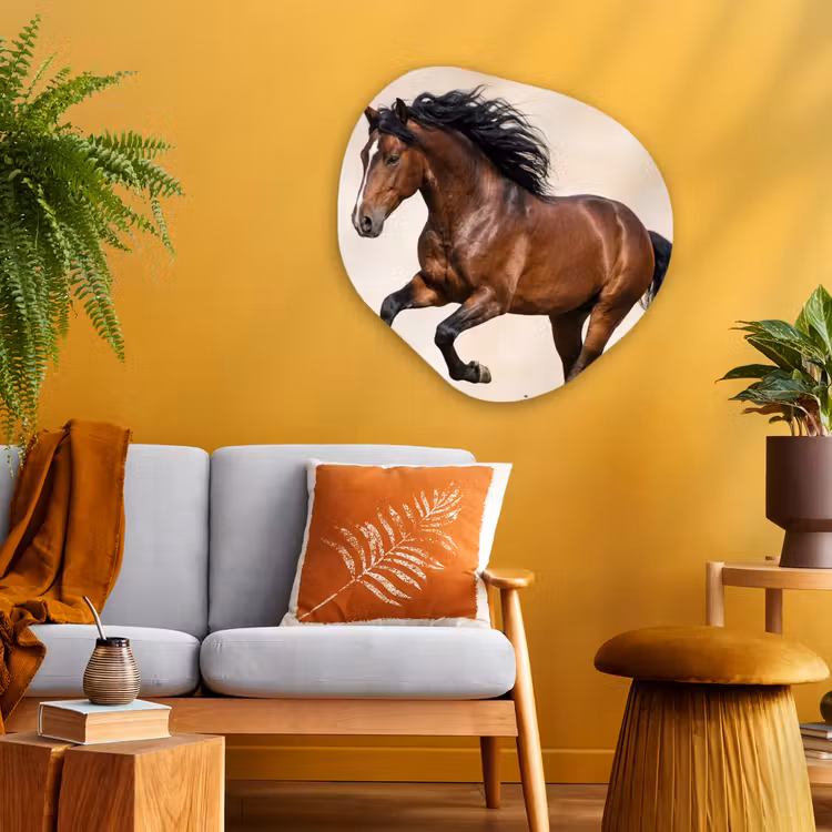 Paard - Galop - Energie Wandcirkel Organisch Aluminium middel -sfeer4