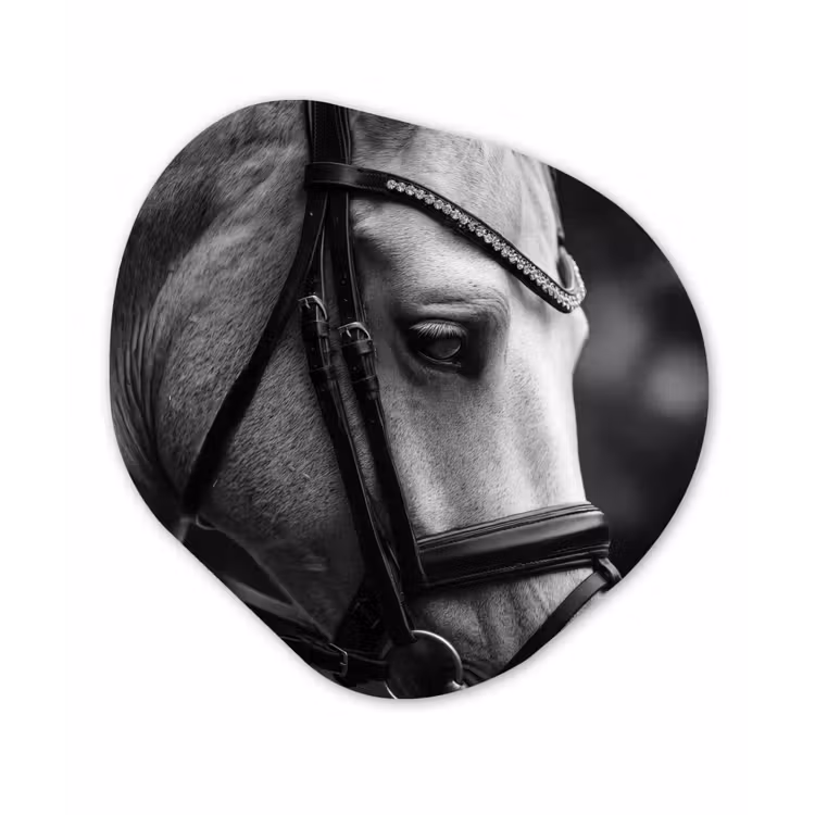 Paard - Schimmel - Portret Wandcirkel Organisch Aluminium middel -3d