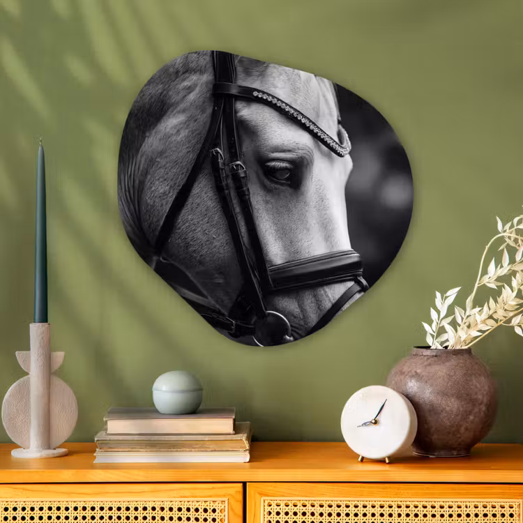 Paard - Schimmel - Portret Wandcirkel Organisch Aluminium middel -sfeer2