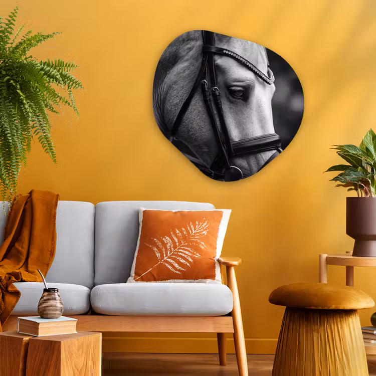 Paard - Schimmel - Portret Wandcirkel Organisch Aluminium middel -sfeer4