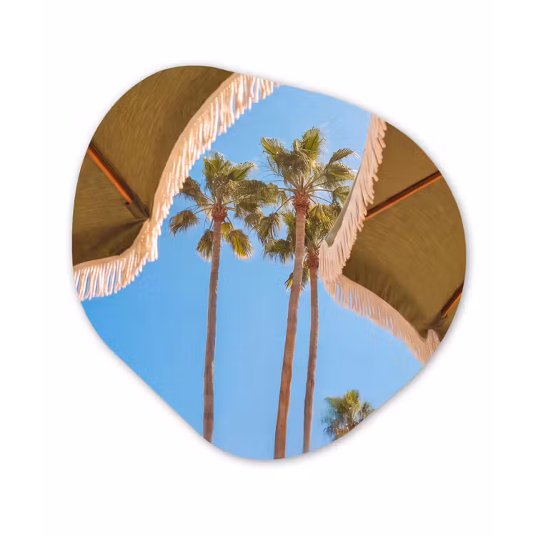Parasol - Groen - Franjes - Zomer - Tropisch Wandcirkel Organisch Aluminium middel -3d