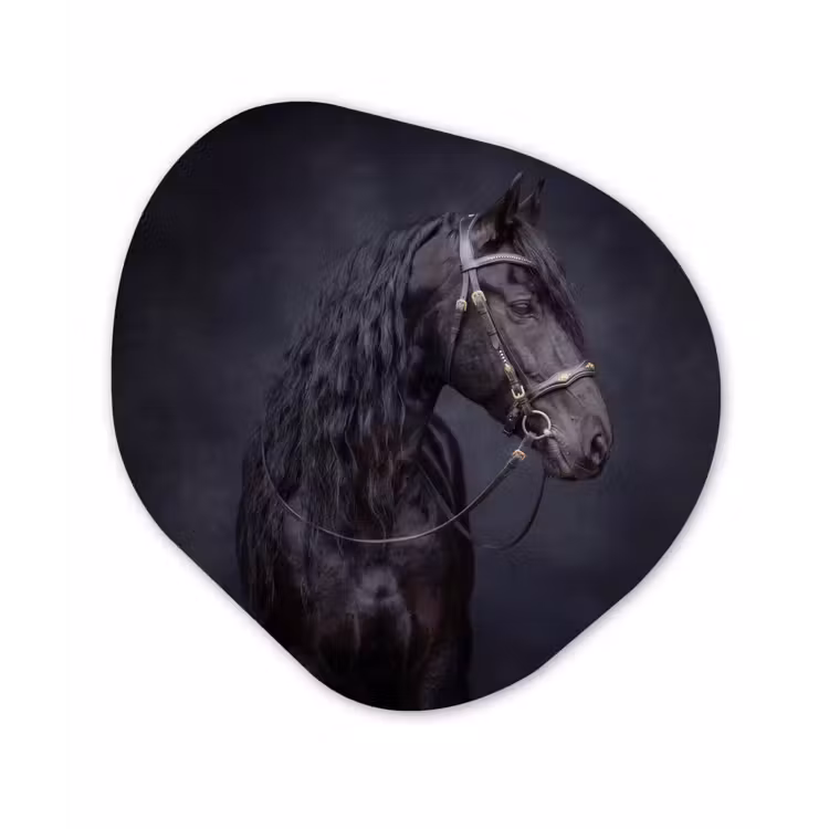 Portret - Paard - Donker Wandcirkel Organisch Aluminium middel -3d
