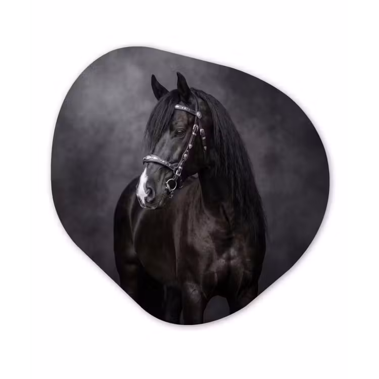 Portret - Paard - Zwart Wandcirkel Organisch Aluminium middel -3d