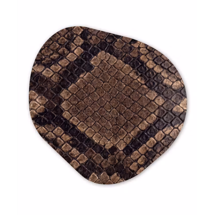 Python - Schubben - Brons Wandcirkel Organisch Aluminium middel -3d