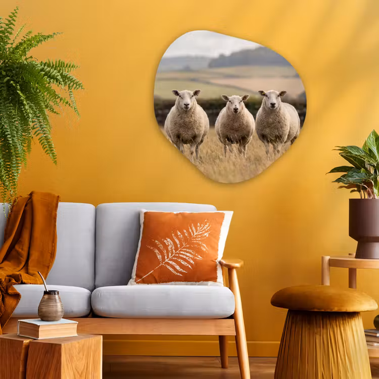 Schapen - Weidenlandschap - Heuvels Wandcirkel Organisch Aluminium middel -sfeer4