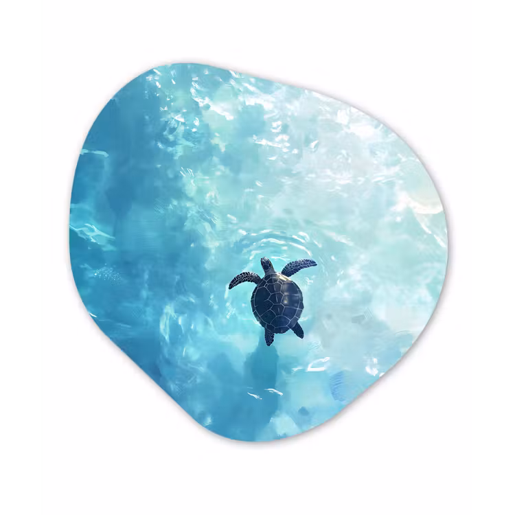 Schildpad - Zee - Blauw - Schittering Wandcirkel Organisch Aluminium middel -3d
