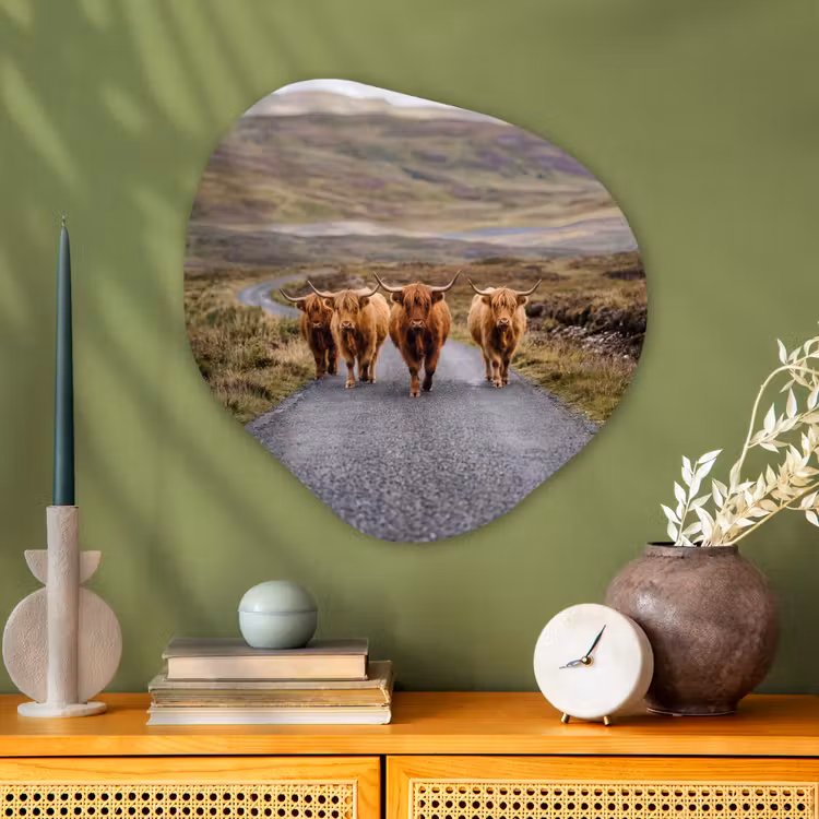 Schotse Hooglanders - Weg - Landschap - Kudde Wandcirkel Organisch Aluminium middel -sfeer2