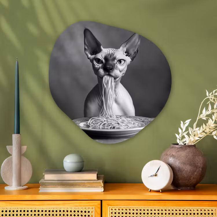 Sphynx - Kat - Dieren - Humor - Spaghetti - Zwart Wit Wandcirkel Organisch Aluminium middel -sfeer2