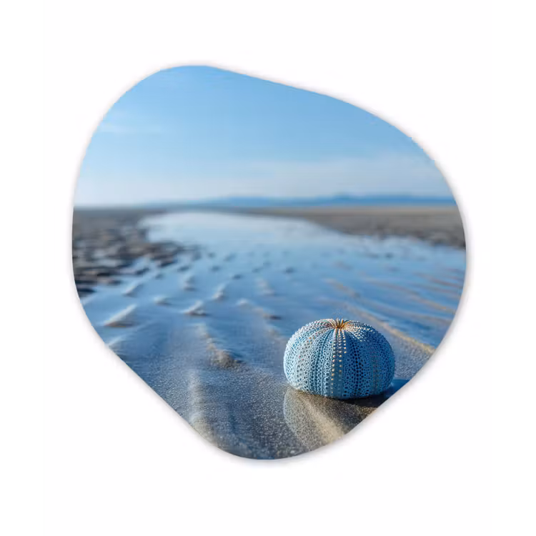 Strand - Schild - Water - Blauw Wandcirkel Organisch Aluminium middel -3d