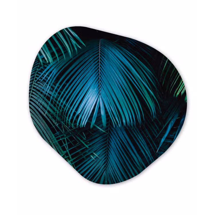 Inductie beschermer - Inductie afdekplaat - Tropical - Jungle - Bladeren - Groen Wandcirkel Organisch Aluminium middel -3d