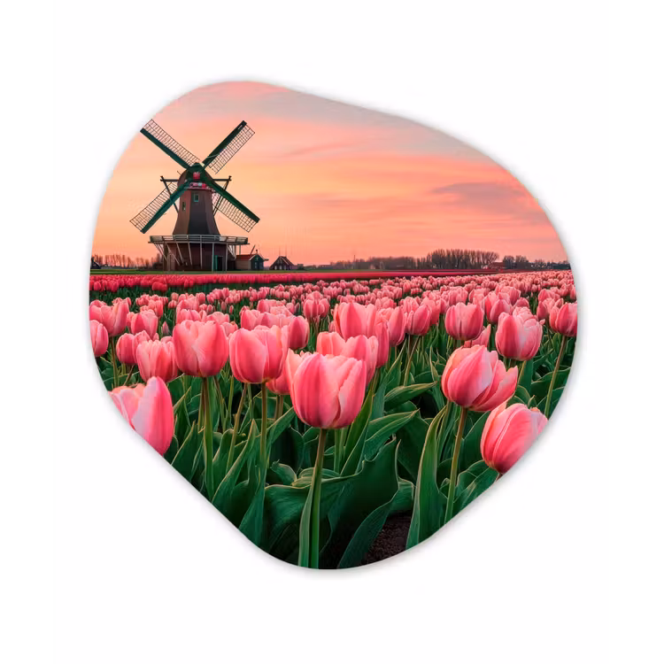 Tulpen - Molen - Nederland Wandcirkel Organisch Aluminium middel -3d