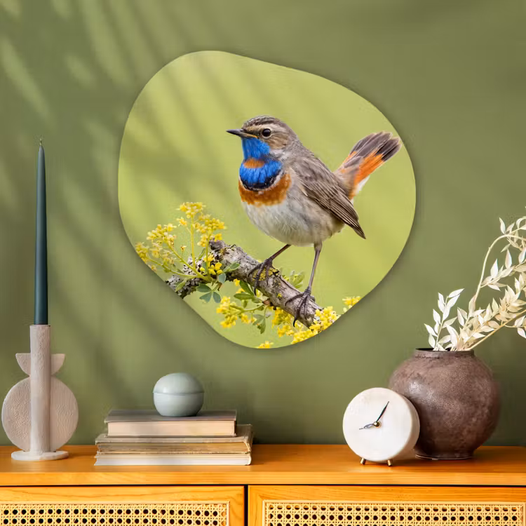 Vogel - Tak - Natuur - Kleurrijk Wandcirkel Organisch Aluminium middel -sfeer2