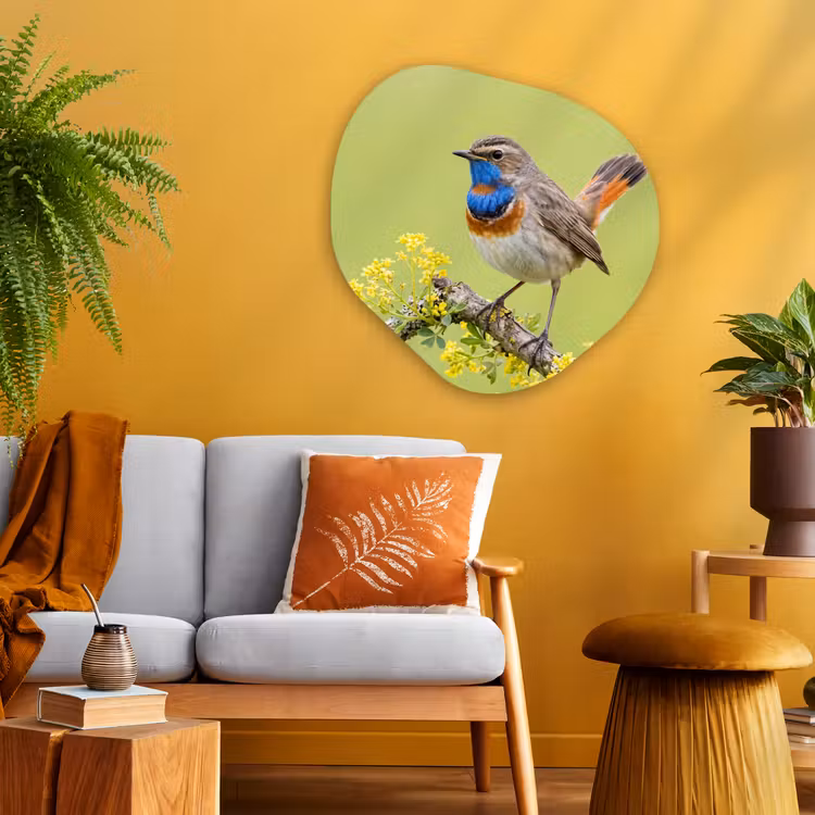 Vogel - Tak - Natuur - Kleurrijk Wandcirkel Organisch Aluminium middel -sfeer4
